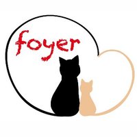 foyer |フォワイエ|焼き菓子のお店 (@foyer_yotsukaid) 's Twitter Profile Photo foyer |フォワイエ|焼き菓子のお店 (@foyer_yotsukaid) 's Twitter Profile Photo