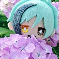 礼羽 (@dolls_lv7) 's Twitter Profile