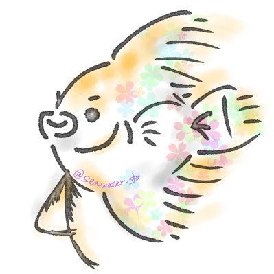 海水エンゼルさんのプロフィール画像