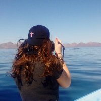 Georgie Whittome (@georgiewhittome) 's Twitter Profile