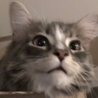Apan69675313's profile picture. ★ちい活、モモンガ、カニちゃん、くりまんじゅう