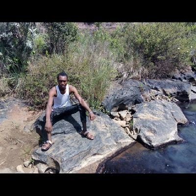 frankiKim2's profile picture. music