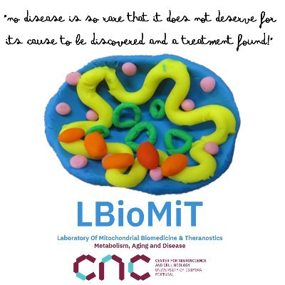 LBioMiT studies (research & diagnostics) biochemistry & genetics of #mitochondria 
#mitochondrialdisease #raredisease
PI Manuela Grazina
@cnc_uc @befmuc