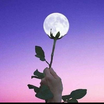 ULaySaw4's profile picture. Not more greedy  everything !