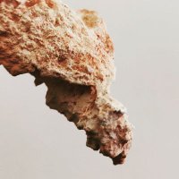 もののけアーティスト 🍤 (@mononoke_artist) 's Twitter Profile Photo もののけアーティスト 🍤 (@mononoke_artist) 's Twitter Profile Photo