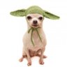 mutantmuff's profile picture. 