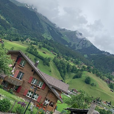 AbuSoosoo10's profile picture. عاشقا للوطن أولا وثانيا وثالثا  .. النصر هو غايتي وعشقي