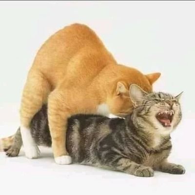 Nam89148471's profile picture. nam