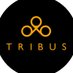 TRIBUS (@tribuswatches) Twitter profile photo TRIBUS (@tribuswatches) Twitter profile photo