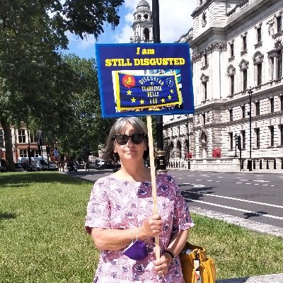 🇪🇺 One Woman & Her Sewing Machine Against Brexit 🇪🇺Passionate Re-joiner/Europhile 🇪🇺 recycler, anti litter
https://t.co/XjFe7VFv2B…