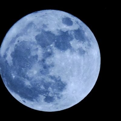 mic_midnight's profile picture. 