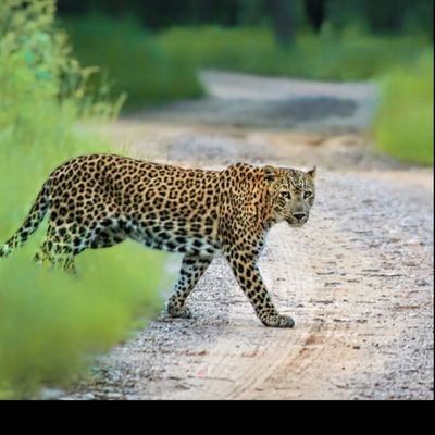 hindutonk's profile picture. मेरा हिन्दुस्तान और हिंदू धर्म मेरा सर्वत्र