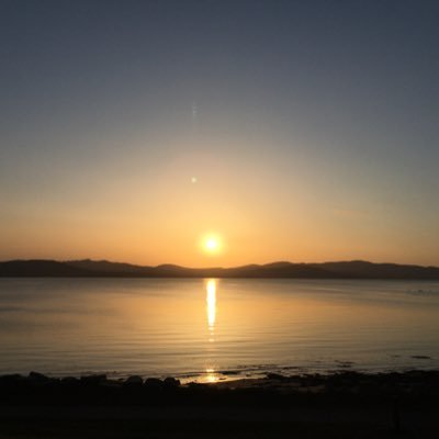 Dawnraider3's profile picture. 😎