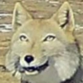 Noel__001230's profile picture. また逢う日まで。