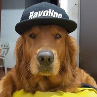 Juan Camachogarcia (@juancamachogar7) 's Twitter Profile Photo Juan Camachogarcia (@juancamachogar7) 's Twitter Profile Photo