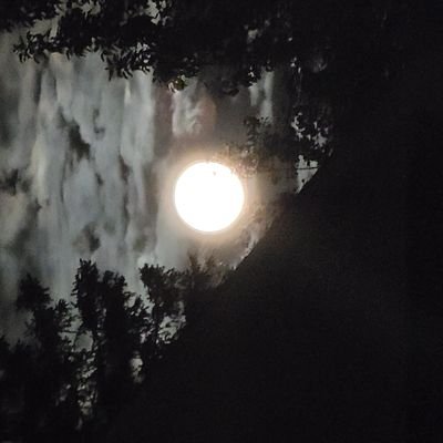 Ladywest44Walsh's profile picture. 🇨🇦love & let love 💕 live & let live 💋