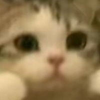 心心 (@nt5nd) 's Twitter Profile