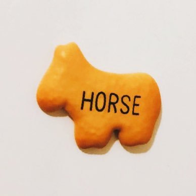 🥕🐎さんのプロフィール画像