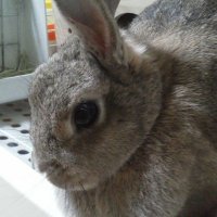 さっちん (@rplw3rzpe8ak7s1) 's Twitter Profile