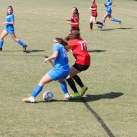 Julia Needelman (@julia_needelman) 's Twitter Profile