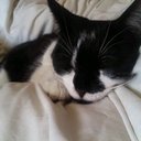 Lou Wilkinson - @sihnda - Twitter