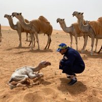 OmzzAlWabal (@owabal) 's Twitter Profile