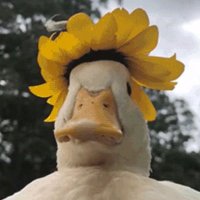 Entinque (@entinque) 's Twitter Profile Photo Entinque (@entinque) 's Twitter Profile Photo
