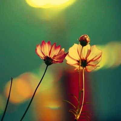 MadhukiranD's profile picture. Retweets ≠ Endorsements