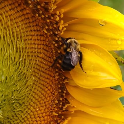 jsnelson42's profile picture. Copyeditor at Rare Bird Editing. I have ADHD and strong opinions. She/Her.