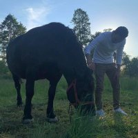 Mido 2000 (@mido20040157652) 's Twitter Profile