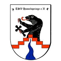TSV Hamelspringe (@tsvhamelspringe) Twitter profile photo