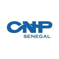 Conseil National du Patronat du Sénégal - CNP(@SenegalCNP) 's Twitter Profileg