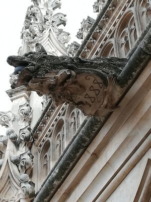 MijancosL's profile picture. 