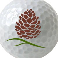 Pine Ridge Golf Club (@pineridgegolfor) 's Twitter Profile