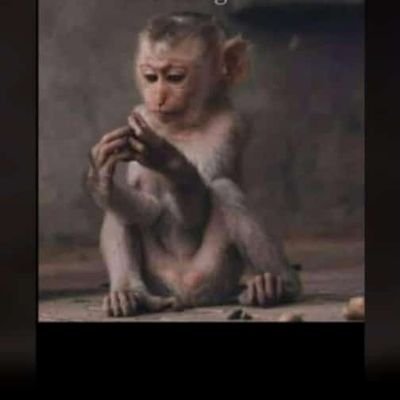 Sturungi's profile picture. Mind explorer. Soul searcher. Intent detector. Humor finder.