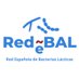 RedBAL - Red Española de Bacterias Lácticas (@RedBAL9) Twitter profile photo