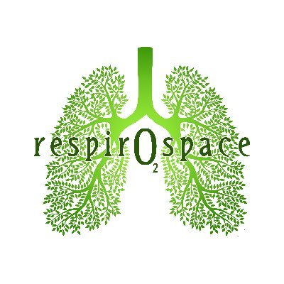 respirospace's profile picture. Breathwork facilitator and cold immersion specialist helping people heal from trauma, reduce stress and anxiety, and reconnect with their true self.