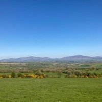 Dermot Callaghan (@dermotcallaghan) 's Twitter Profile