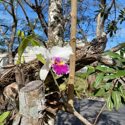 BondTiti's profile picture. 