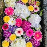 なお (@miyaginaonew) Twitter profile photo