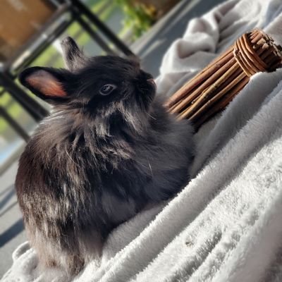 bunnyさんのプロフィール画像