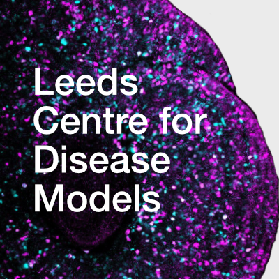 Leeds Centre for Disease Models Profile