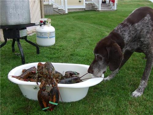 DougBoydArisaig's profile picture. Principal at Mara Consulting