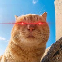 INOVIS.ETH | 🔻 (@inovis1) 's Twitter Profile Photo