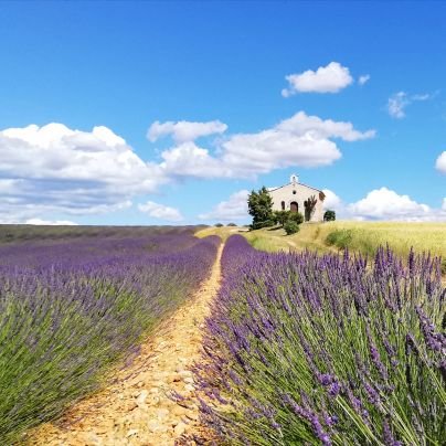 Les jolies choses, les petits riens. La vie côté Alpes du sud
#randonnée 
#AlpesDeHauteProvence #MyProvenceAlpes #Mon04

by @lolo2774