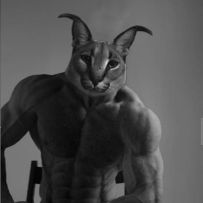 SemPrigoda's profile picture. Proud student of University of Alicante