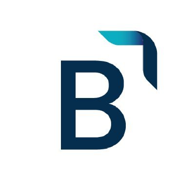 BeeksGroup Profile Picture