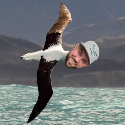 Albatrosstin Profile Picture