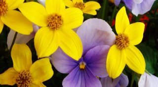 moodyone1966's profile picture. Fear is just a waste of time.