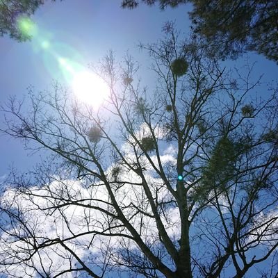 9zkhDK3xmbfMXLB's profile picture. 